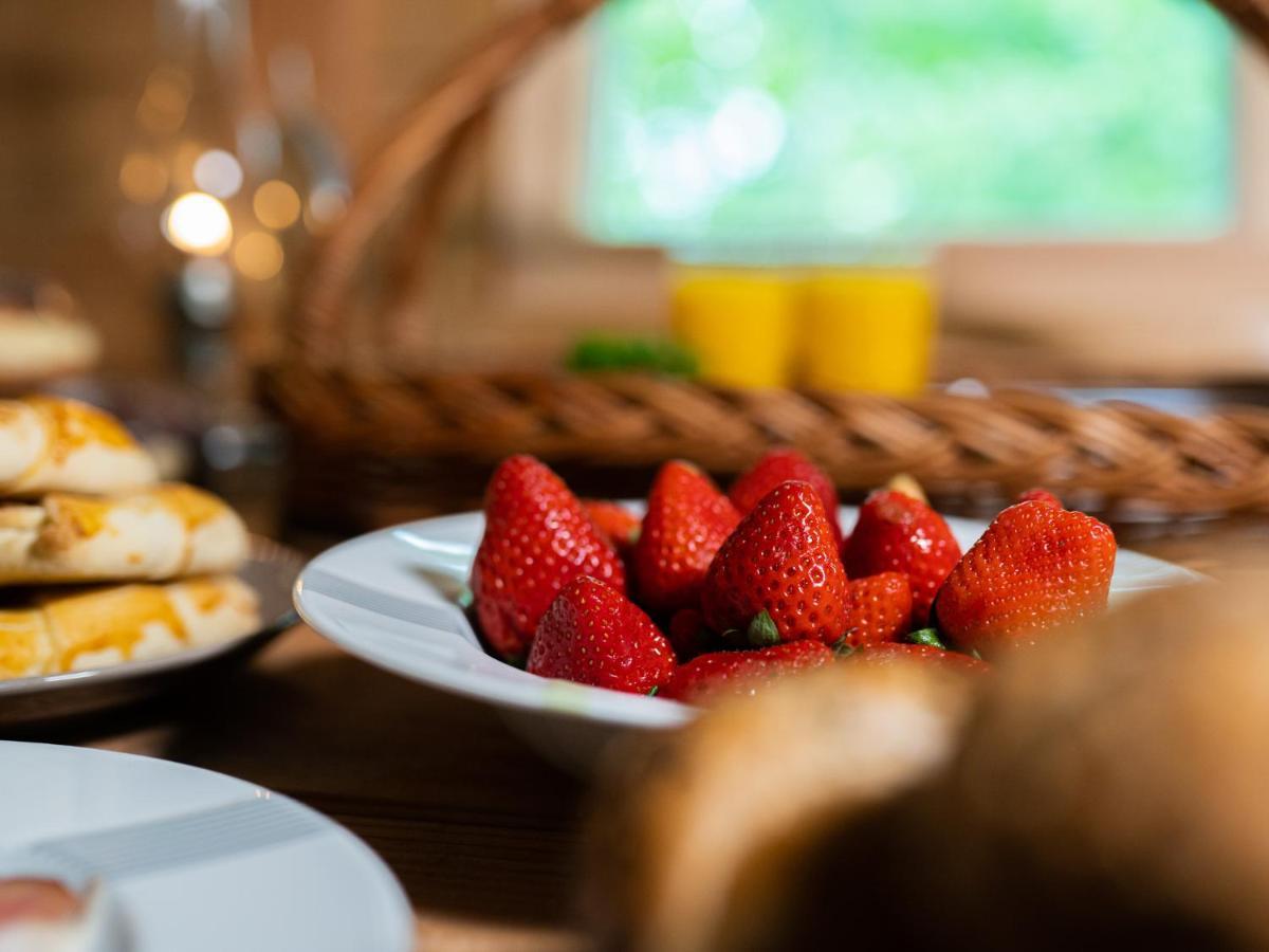 Treehous Sneznik S Wellness Hotel Dolní Morava Екстериор снимка